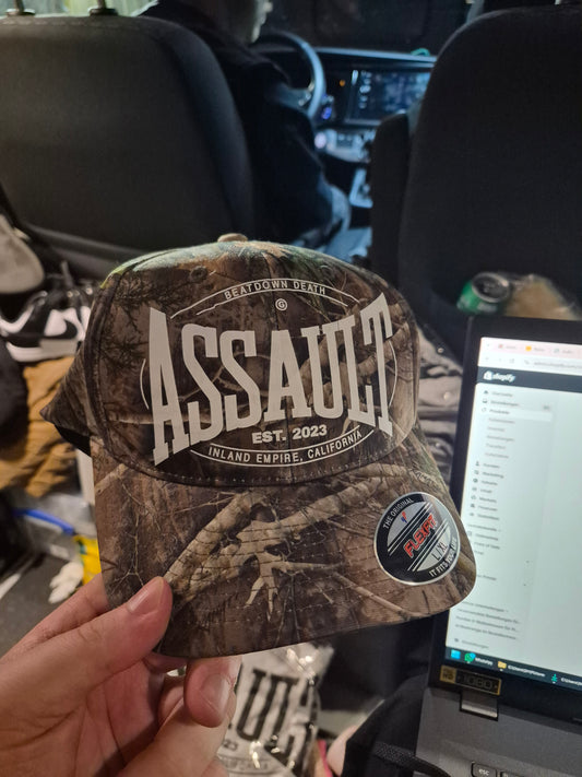 GROUNDS FOR ASSAULT 'ASSAULT' CAP