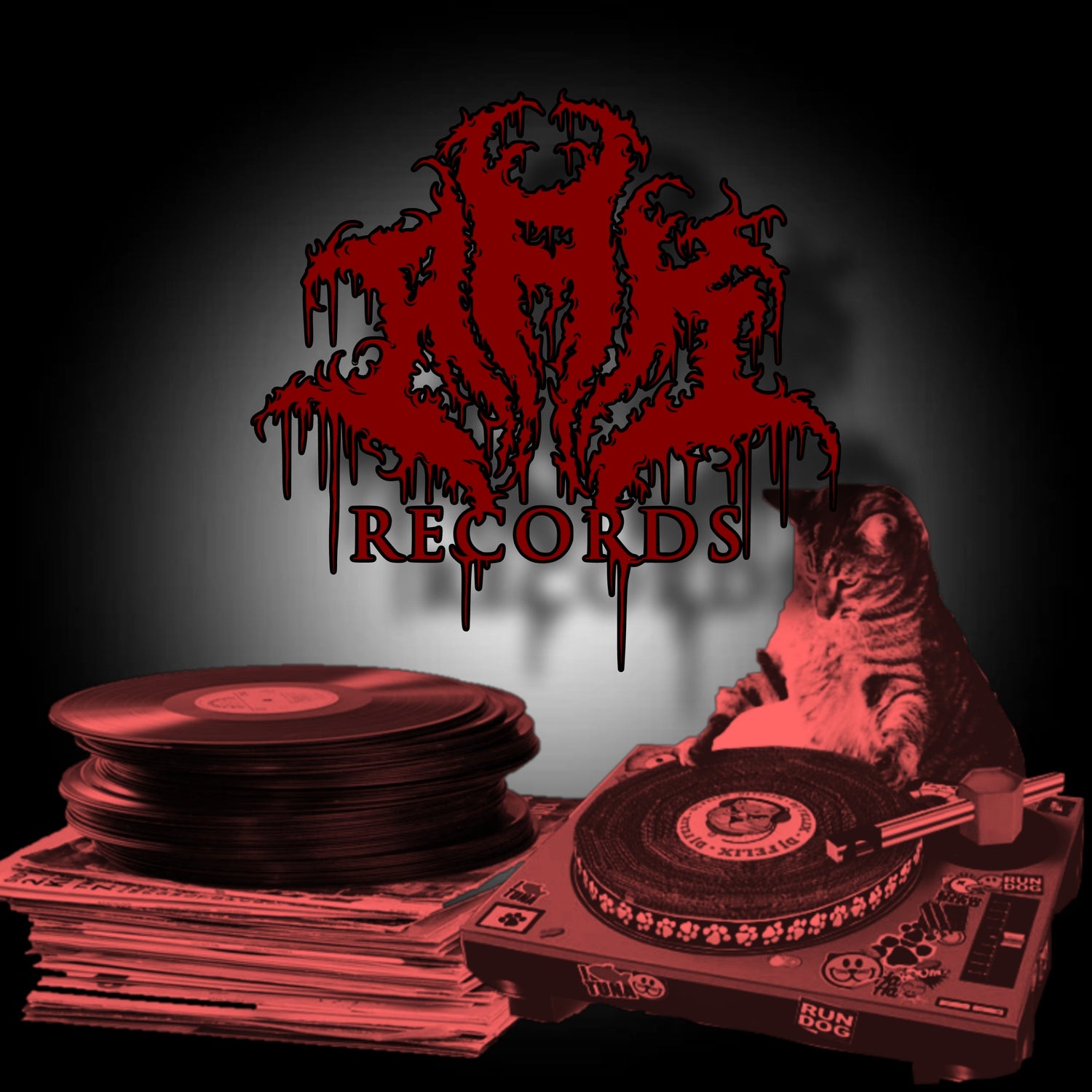 VINYL [USED]