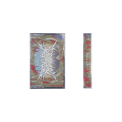 DISFIGURING THE GODDESS - "BIG SLIME SUMMER" CD / TAPE [US IMPORT]