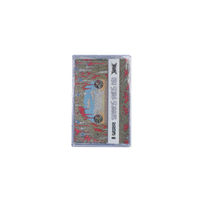 DISFIGURING THE GODDESS - "BIG SLIME SUMMER" CD / TAPE [US IMPORT]