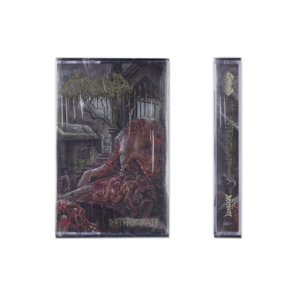 GAMMA SECTOR - "DETERIORATE" [TAPE] [US IMPORT]