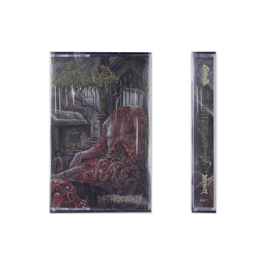 GAMMA SECTOR - "DETERIORATE" [TAPE] [US IMPORT]