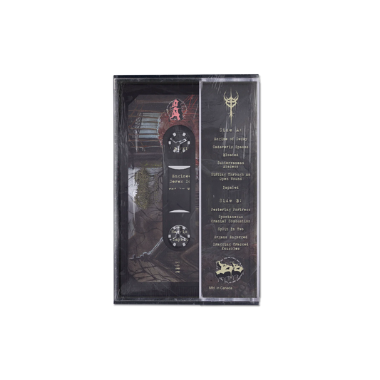 GAMMA SECTOR - "DETERIORATE" [TAPE] [US IMPORT]